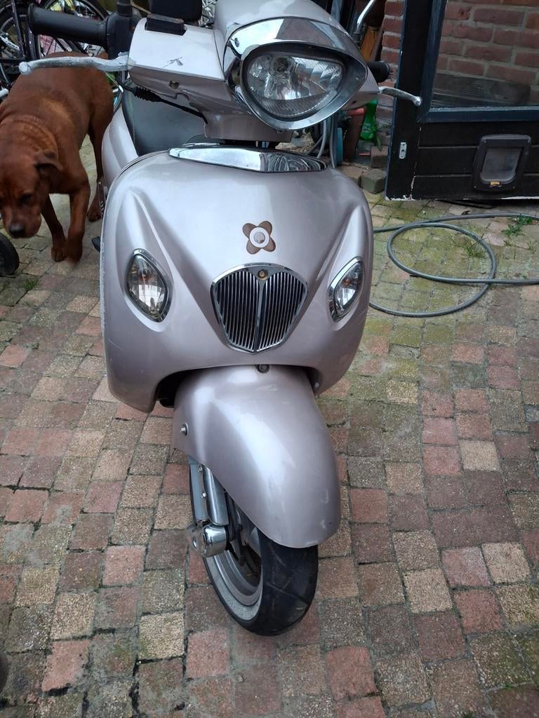 Te koop agm, Ophalen, Gebruikt, Benzine