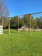 Grote lindebomen TEAB, Ophalen, Volle zon, Overige soorten