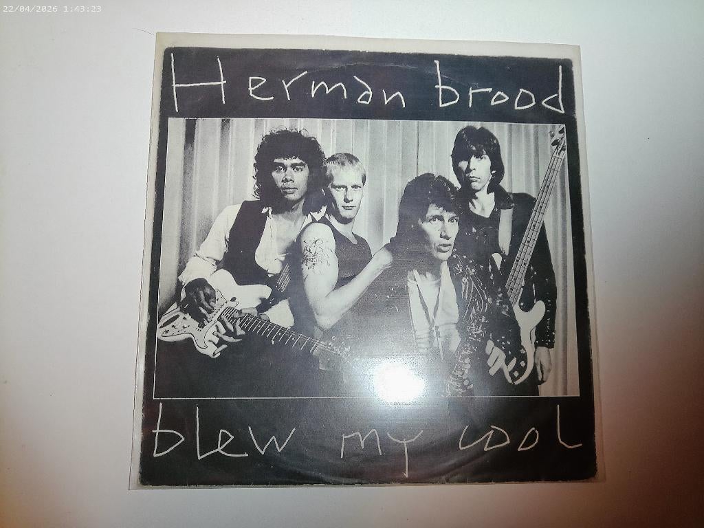 Herman Brood - Blew my Cool, Gebruikt, Fotohoes, 7 inch, Ophalen of Verzenden