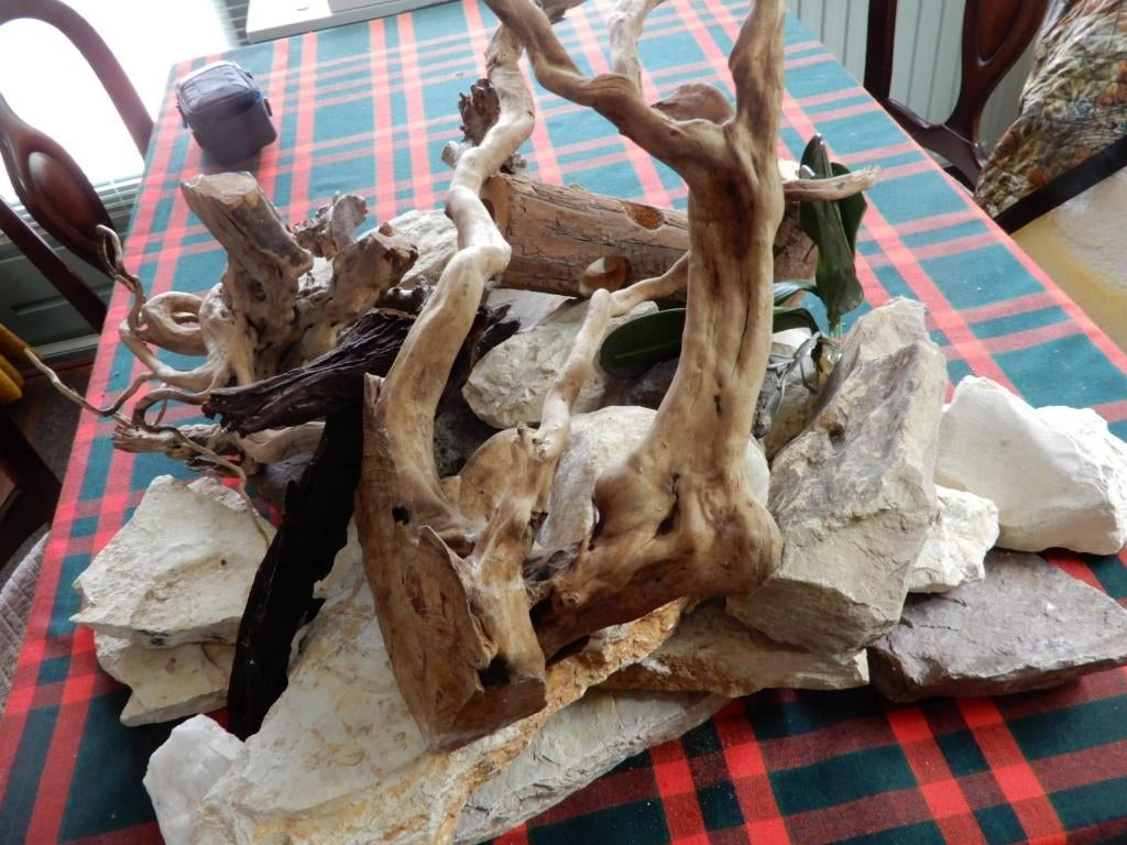 terrarium materiaal, Ophalen, Zo goed als nieuw, Tak, Plant, Rots of Steen