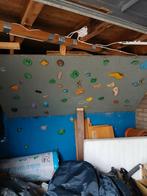 Bouldergrepen 75+ items. Met klimgordels en klimschoenen, Ophalen of Verzenden