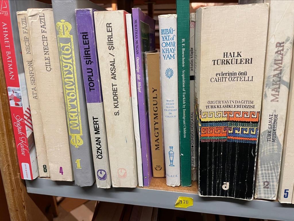 Diverse Turkse boeken - Taal en literatuur, Boeken, Ophalen of Verzenden, Gelezen, Fictie