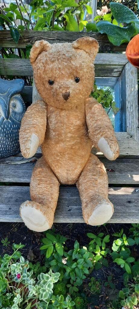 teddy beer Vintage, Ophalen of Verzenden, Gebruikt, Stoffen beer, Overige merken