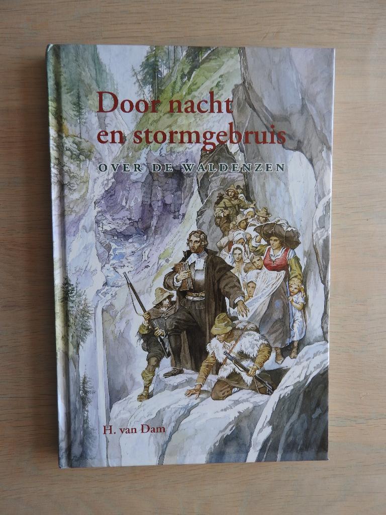 H. van Dam - Door nacht en stormgebruis - Over de Waldenzen, Ophalen of Verzenden, Zo goed als nieuw