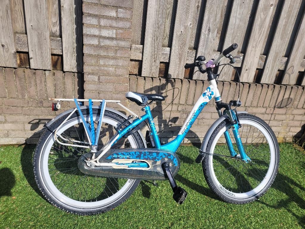 Alpina meisjesfiets 24 inch, Ophalen, Alpina, Handrem, Gebruikt
