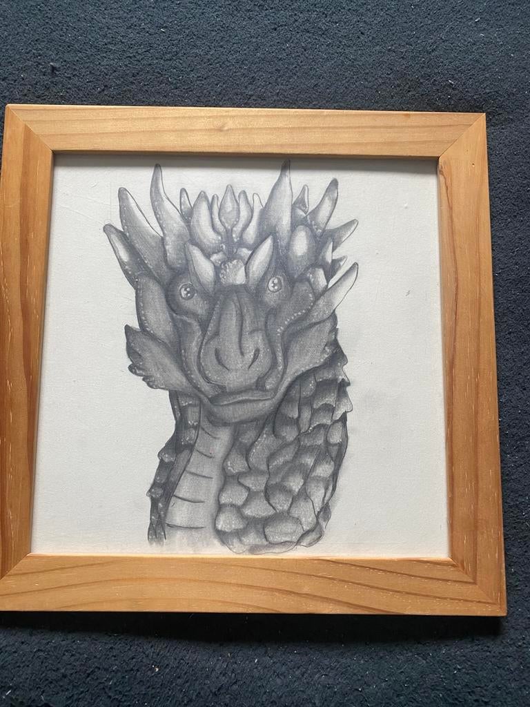 Een draak, Ophalen of Verzenden