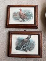 Set van 2 Italiaanse schilderijtjes met vogels, Ophalen of Verzenden, Gebruikt, Schilderij, Minder dan 50 cm