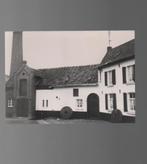 Grevenbicht Kingbeek Molen Foto P Grund L 40/25 Afm 10/14 cm, Verzenden, 1960 tot 1980, Ongelopen, Limburg