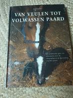 Van Veulen tot Volwassen Paard - Janet Lorch, Ophalen of Verzenden