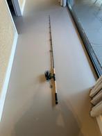 Madcat5500 en daiwa megaforce, Ophalen of Verzenden, Zo goed als nieuw, Werphengel