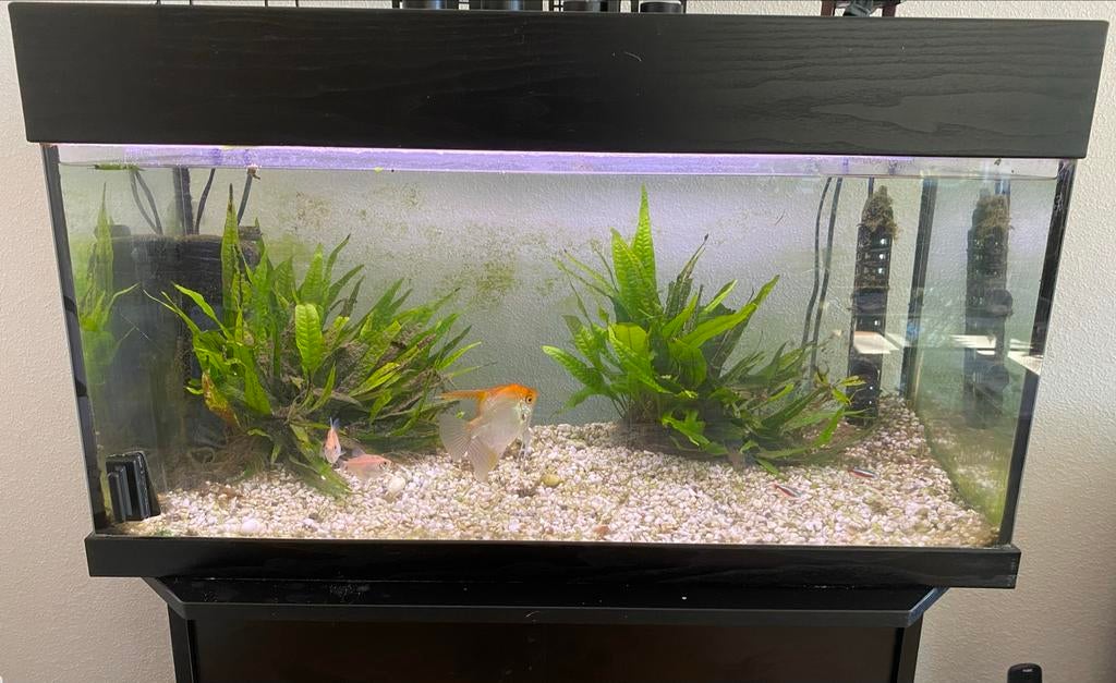 Aquarium met pomp en toebehoren, Dieren en Toebehoren, Vissen | Aquaria en Toebehoren, Ophalen, Inclusief vissen, Leeg aquarium