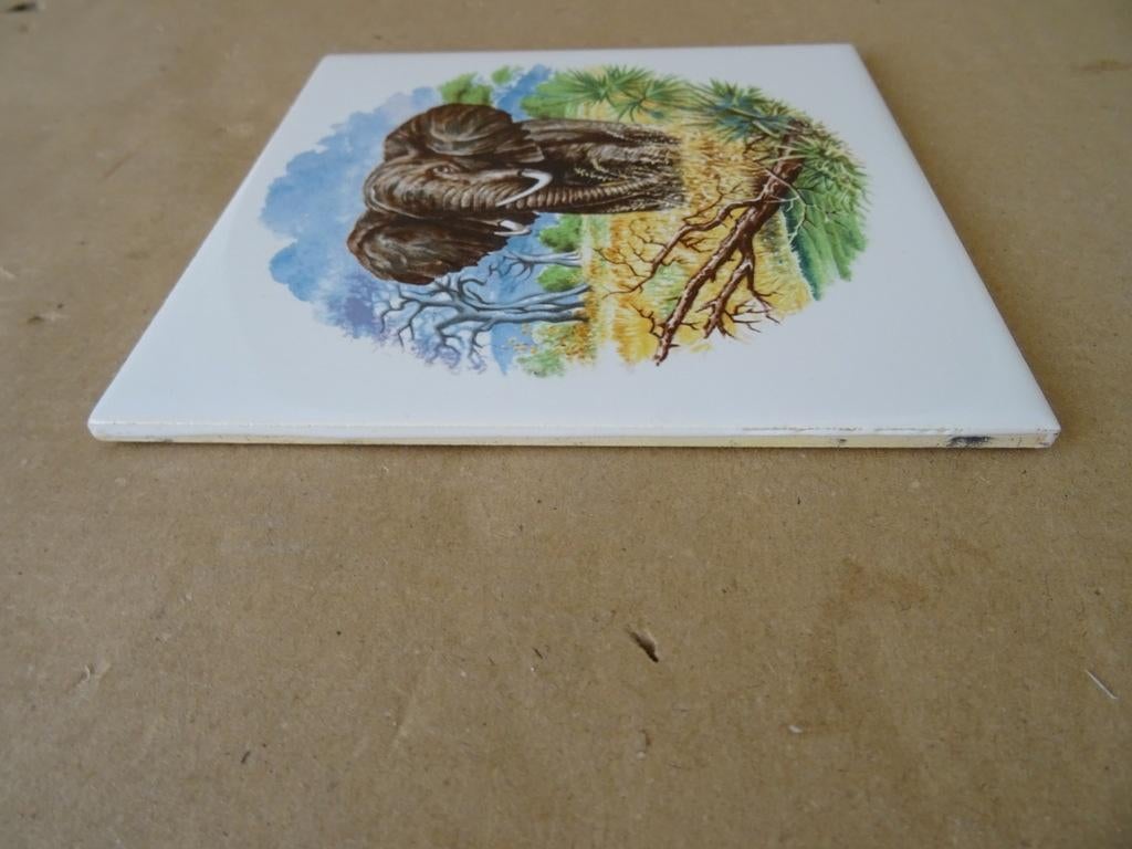 Curiosa vintage tegel met olifant aardewerk tegel olifant, Ophalen of Verzenden