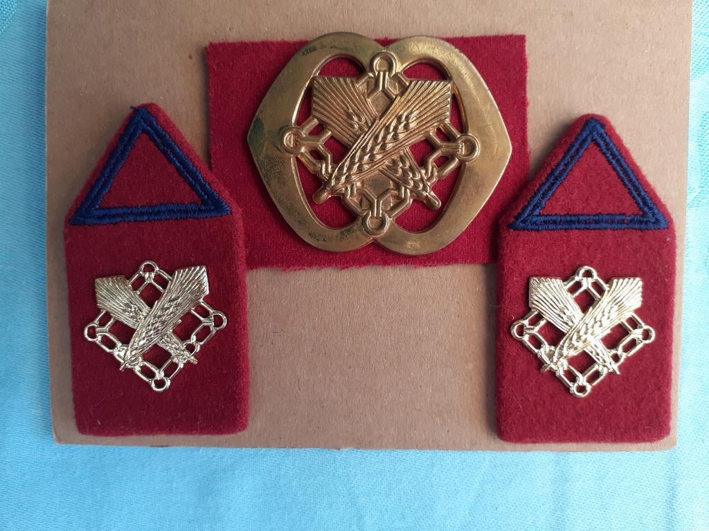 Kraagspiegels en baretembleem  : Intendance opleidingen, Ophalen of Verzenden, Landmacht, Nederland, Embleem of Badge