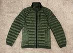Wellensteyn | gewatteerde tussen jas | heren maat S | NIEUW, Ophalen of Verzenden, Nieuw, Maat 46 (S) of kleiner, Groen