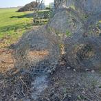 Diverse rollen gaas/raster voor afrastering, Ophalen of Verzenden, Gebruikt, 20 meter of meer, Gaas