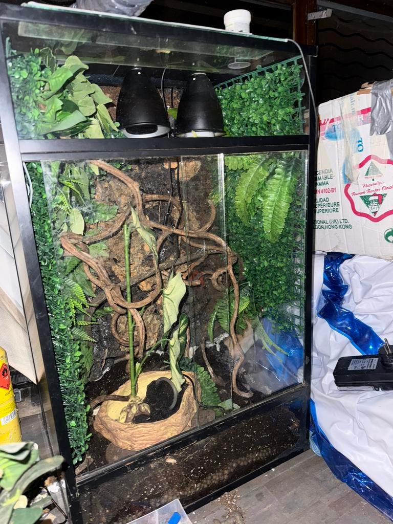 Terrarium, Ophalen of Verzenden, Gebruikt