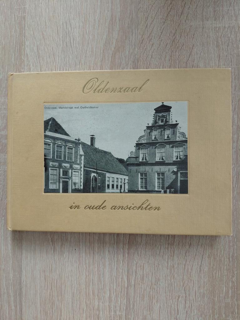 Oldenzaal in oude ansichten, Ophalen of Verzenden, Gelezen