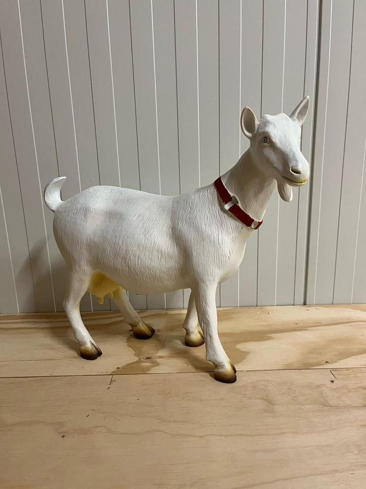 Witte geit beeld kijkend klein Deco Decofiguren, Verzamelen, Beelden en Beeldjes, Nieuw, Dier, Ophalen