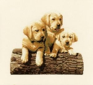 Borduurpakket Labrador puppies 584, Geen, Geen, Nieuw, Ophalen of Verzenden