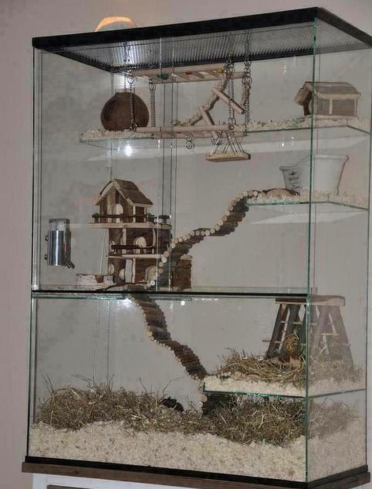 Terrarium, glazen kooi voor knaagdieren 100x73x40, Dieren en Toebehoren, Knaagdieren en Konijnen | Hokken en Kooien, Zo goed als nieuw