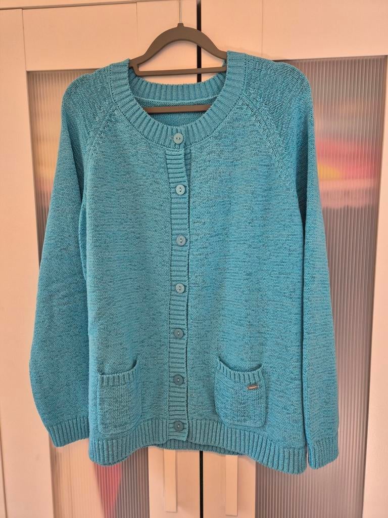 Vest van Roberto sarto, Kleding | Dames, Ophalen of Verzenden, Zo goed als nieuw, Maat 46/48 (XL) of groter, Blauw