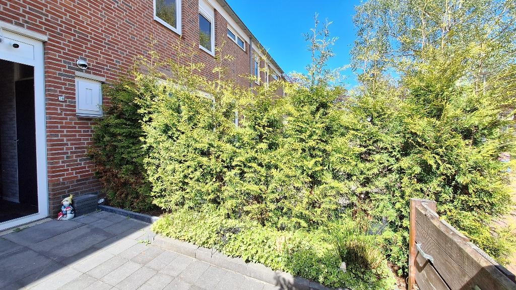 Complete Voortuin en Douglas Hout, Zie / Lees Omschrijving!, Ophalen, Gebruikt, 250 cm of meer, Overige typen