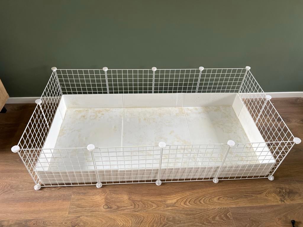 Cavia kooi, Kooi, Cavia, Ophalen, Minder dan 60 cm