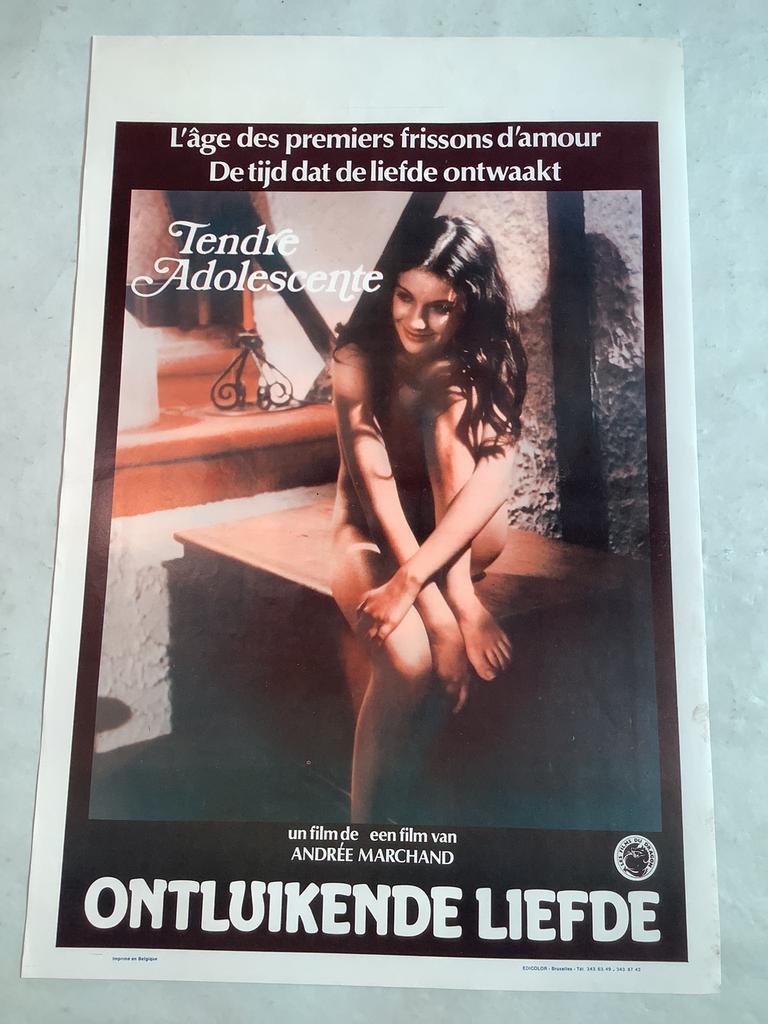 LOT FILMPOSTERS   (22)   36-54 cm, Verzamelen, Posters, Ophalen of Verzenden, Gebruikt, Film en Tv