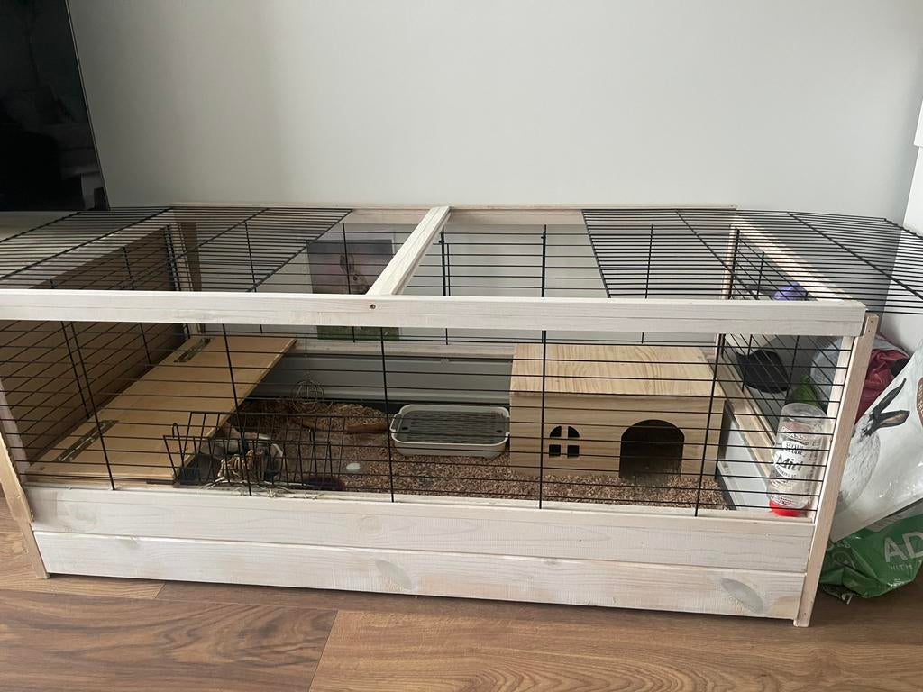 Konijn (mannetje) met de kooi & alle spullen, Kooi, Zo goed als nieuw, Konijn, Ophalen