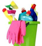 Gezocht huishoudelijke hulp in Ermelo, Overige niveaus, Starter, Overige vormen