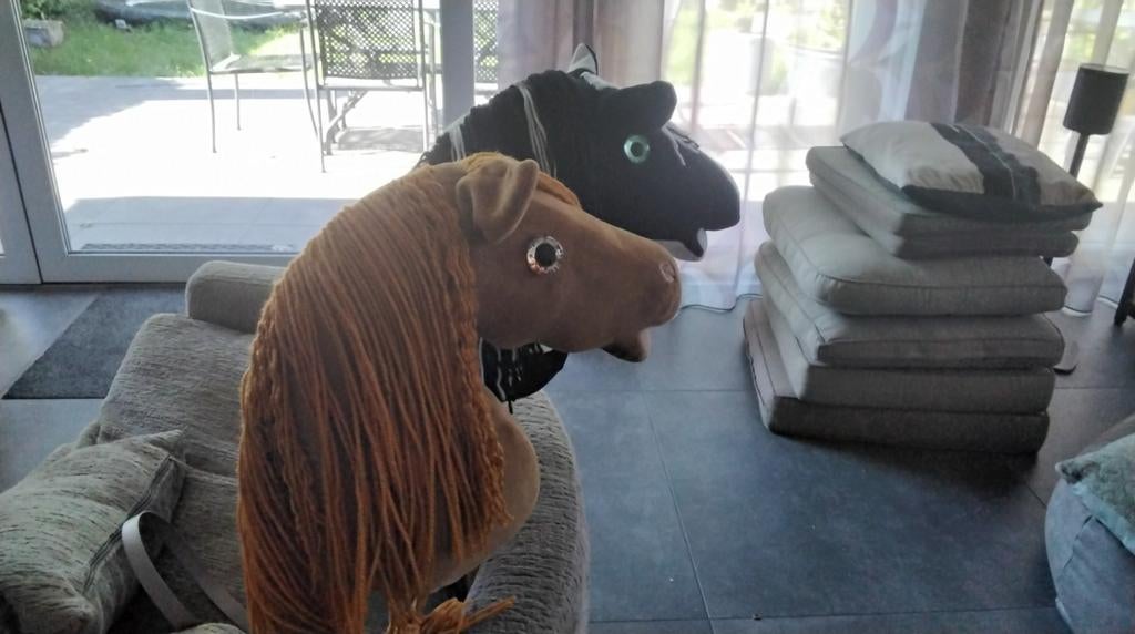 Twee mooie hobbyhorses, Ophalen of Verzenden, Zo goed als nieuw, Jongen of Meisje