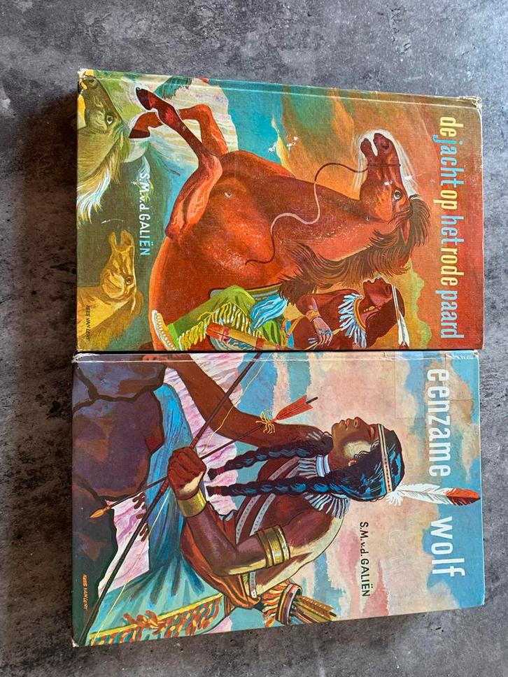 2x Eenzame Wolf boeken van S.M. van de Galiën, Boeken, Kinderboeken | Jeugd | onder 10 jaar, Gelezen, Ophalen of Verzenden