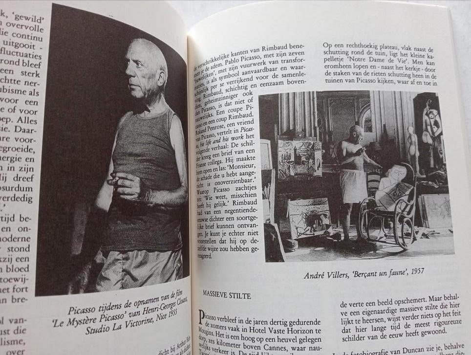 BZZLLETIN Literair Magazine 195 Picasso Nico Scheepmaker, Boeken, Tijdschriften en Kranten, Ophalen of Verzenden, Gelezen, Muziek, Film of Tv