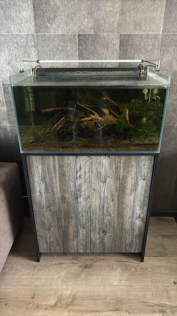 Superfish scaper 140 incl visbestand co2 set en oase thermo, Dieren en Toebehoren, Ophalen, Zo goed als nieuw, Gevuld zoetwateraquarium