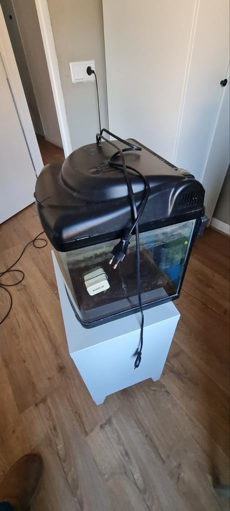 Aquarium, Ophalen