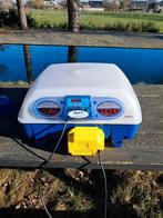 Borotto real 49 broedmachine, Ophalen, Zo goed als nieuw, Broedmachine