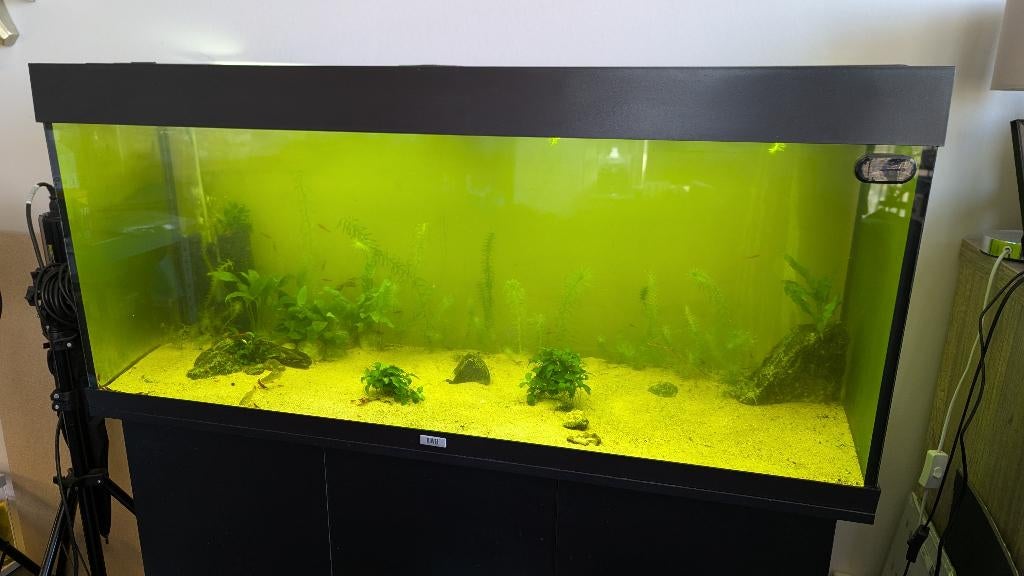 Juwel Rio 240 Aquarium and stand, Dieren en Toebehoren, Vissen | Aquaria en Toebehoren, Ophalen, Gebruikt, Inclusief deksel, Leeg aquarium