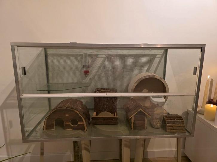 Glazen hamsterkooi, Dieren en Toebehoren, Knaagdieren en Konijnen | Hokken en Kooien, Gebruikt, Kooi, 75 tot 110 cm, Hamster, Ophalen