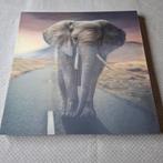 Schilderij olifant  3-D, Ophalen of Verzenden