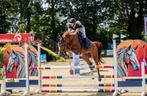Zadelmak maken van uw pony of paard