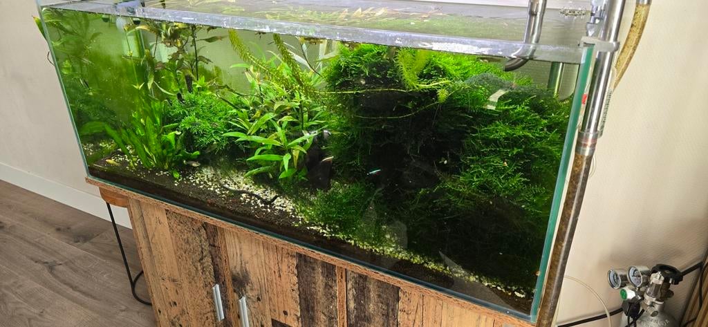 Scaper aquarium compleet 100x40x40, Ophalen, Zo goed als nieuw, Leeg aquarium