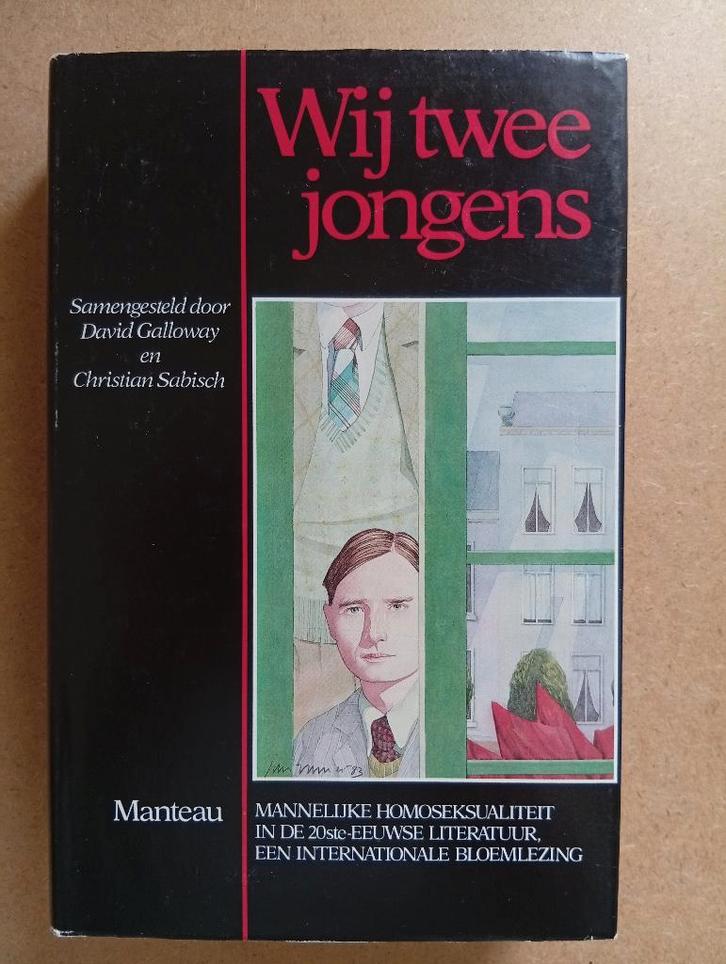 Wij twee jongens - internationale bloemlezing, Boeken, Literatuur, Gelezen, Europa overig, Ophalen of Verzenden
