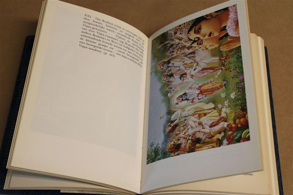 Het Krsna boek. His Divine Grace Prabhupada., Boeken, Ophalen of Verzenden, Gelezen, Overige onderwerpen, Achtergrond en Informatie
