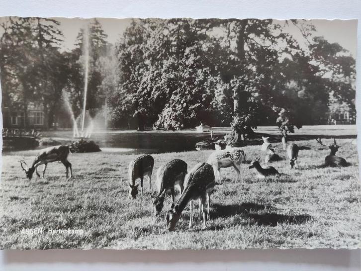 U773 Assen, Verzamelen, Ansichtkaarten | Nederland, 1920 tot 1940, Ophalen of Verzenden