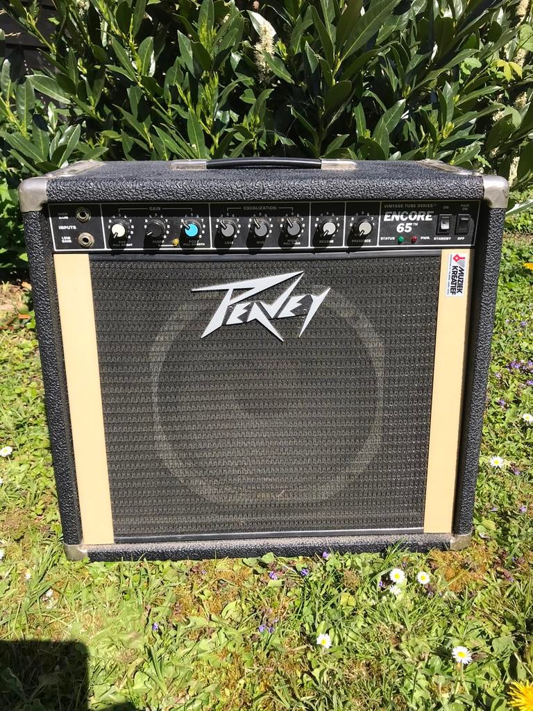 Peavey encore 65 buizenversterker vintage 80s, Muziek en Instrumenten, Versterkers | Bas en Gitaar, Ophalen, Gebruikt, Gitaar
