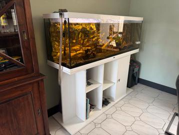 Aquarium 416L met Eheim proffesional 3 pomp beschikbaar voor biedingen
