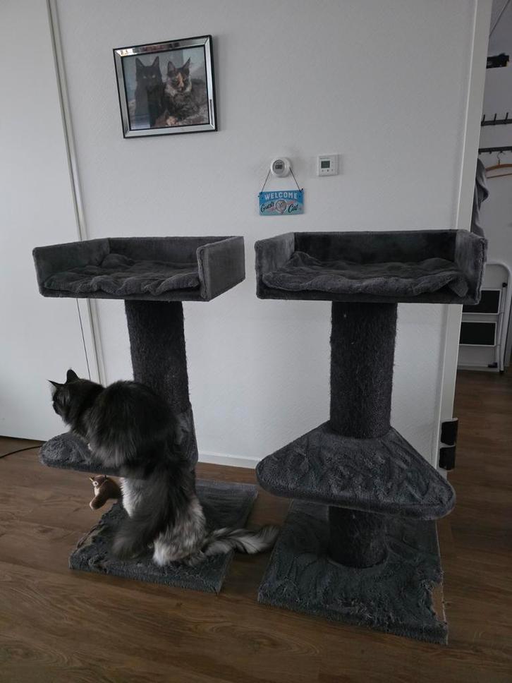 2x RHR Krabpaal Maine Coon Lounge Blackline (Donkergrijs), Dieren en Toebehoren, Katten-accessoires, Gebruikt, Ophalen