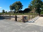 Paarden paddock 3x 15x20 meter 180m1, Dieren en Toebehoren, Stalling en Weidegang, Weidegang, 4 paarden of pony's of meer