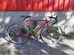 Raleigh singelspeed 52 cm, 49 tot 53 cm, Zo goed als nieuw, Ophalen, Overige merken