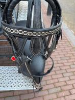 Men hoofdstel, Dieren en Toebehoren, Paarden en Pony's | Hoofdstellen en Tuigage, Ophalen of Verzenden, Zo goed als nieuw